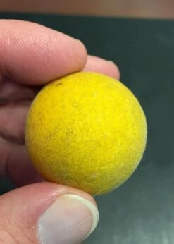 Flying Dragon Hardy Orange Tree - 7 Gallon Pot (3-4') -Home Bloom Garden Orange Flying Dragon 6 1