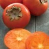 American Persimmon Tree (Diospyros Virginiana) - 3 Pack Of 1.5 Quart Pots -Home Bloom Garden Persimmon American 1 1