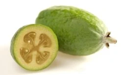 Pineapple Guava - Feijoa Sellowiana - 3 Gallon Pot -Home Bloom Garden Pineapple Guava Fruit 1