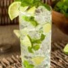 Mojito Mint Plant - 6 Pack Of Pint Pots -Home Bloom Garden mentha x villosa mojito mint 5